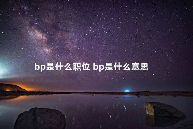 bp是什么职位 bp是什么意思